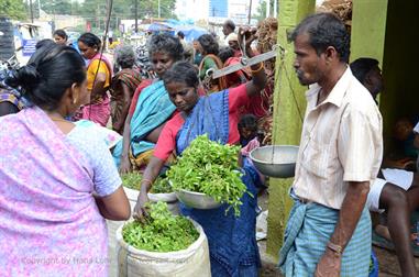 Flower-Market, Madurai,_DSC_8215_H600